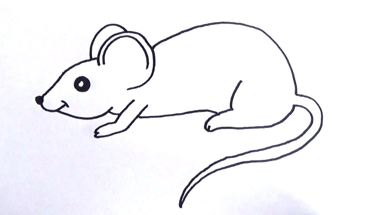 Como dibujar un raton paso a paso y muy fácil - YouTube