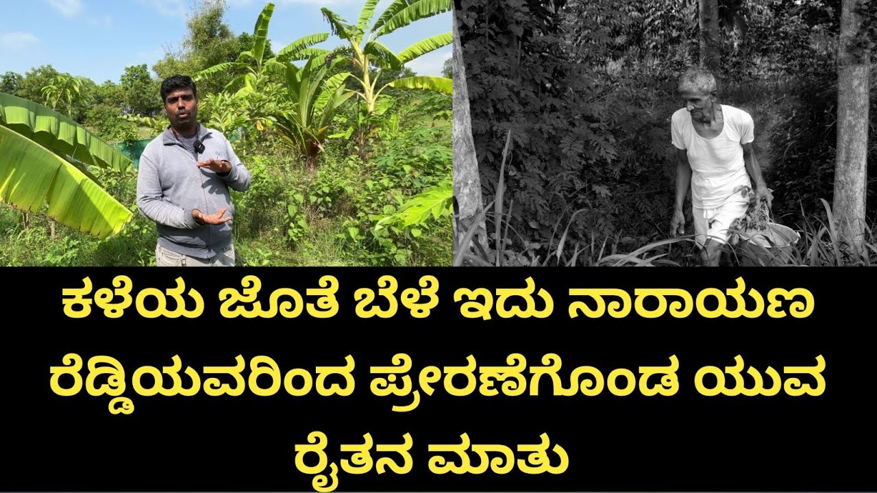 ಕಡಿಮೆ ನೀರನ್ನು ಕೇಳುವ ಗಿಡಗಳಿಗೆ ಪ್ರಾಮುಖ್ಯತೆ ಕೊಟ್ಟಿದ್ದಕ್ಕೆ ಇವತ್ತಿಗೂ ನನ್ನ ತೋಟ ಹಸಿರಾಗಿದೆ