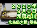鮎釣り　九頭竜川　2020　小澤剛　友釣り無双