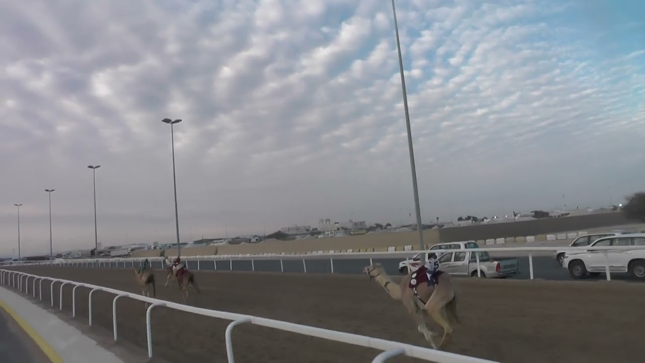 ش6 مشتركات / قعدان / شاهين / راشد علي الدوسري /02:17:48