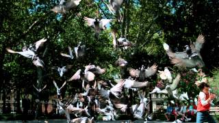 Download Lagu 1440p Video Amazing #1 MP3