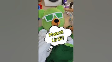 Giặt Mascot Chuyên Nghiệp Ở Hà Nội | Sạch Sâu – Không Xẹp – Như Mới #giatmascot #huygs #giatgaubong