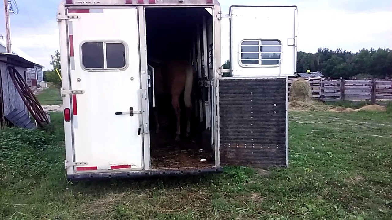 Teaching Chance to load-Rockin U Ranch - YouTube
