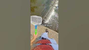 Anh chàng tiết lộ bí quyết sát cá của mình khiến ai cũng ngã ngửa 😳