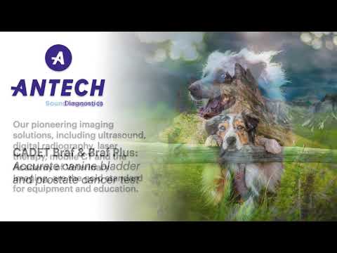 Antech Family of Services