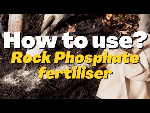 Video: Brug af stenfosfat til haver - Hvad gør stenfosfat for planter