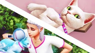 WE'VE BEEN ROBBED // The Sims 4: Cats & Dogs #3