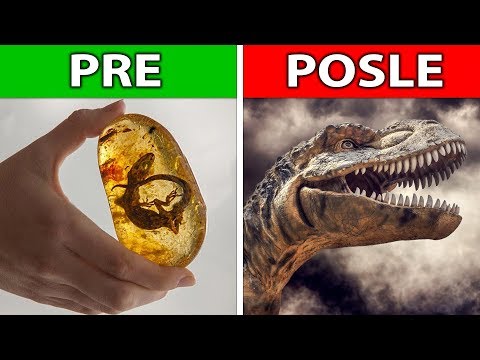 Video: Australski Znanstvenici Mogu Vratiti Dinosauruse U život - Alternativni Prikaz
