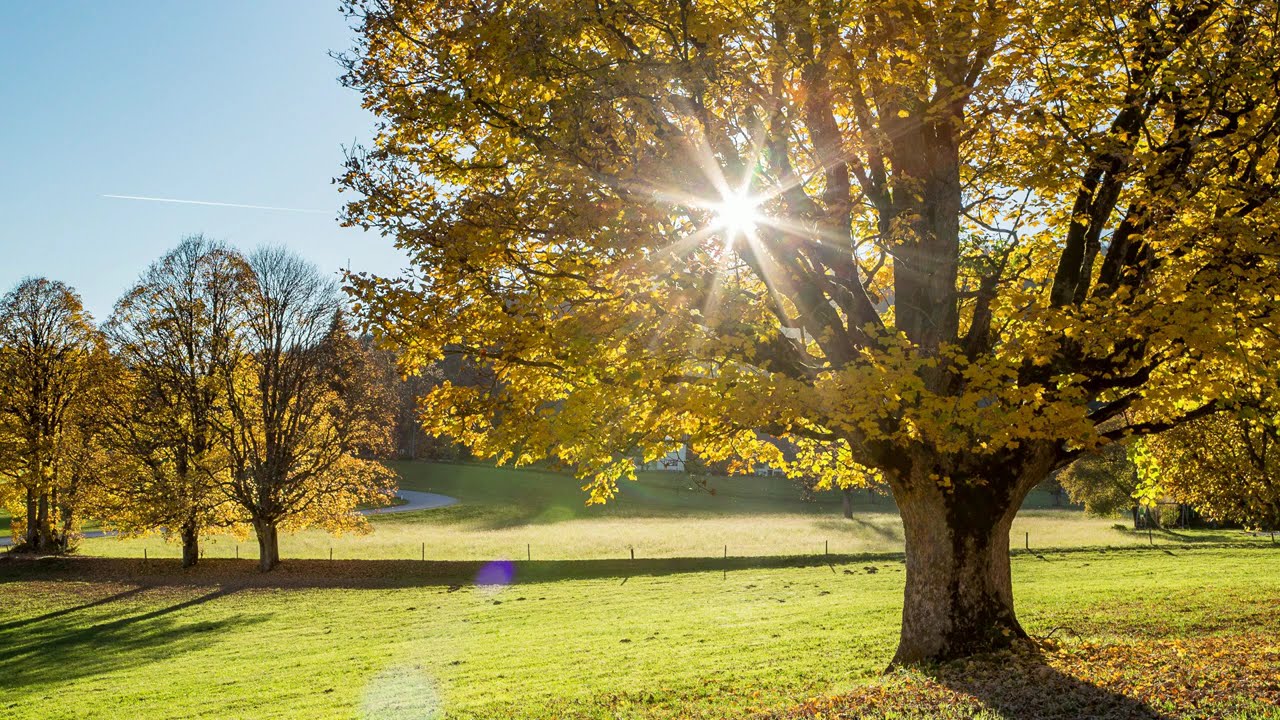 Von Gott will ich nicht lassen | Ludwig Helmbold | Glaube, Jesus, Leben, Lobpreis, Versorgung