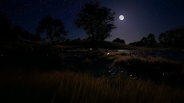 The Windswept Grasslands on a Moonlit Night. Wind Sounds & Ambiance for Good Sleep