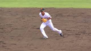 20170908 巨人 VS DeNA ファーム 4 小坂コーチ内野ノック
