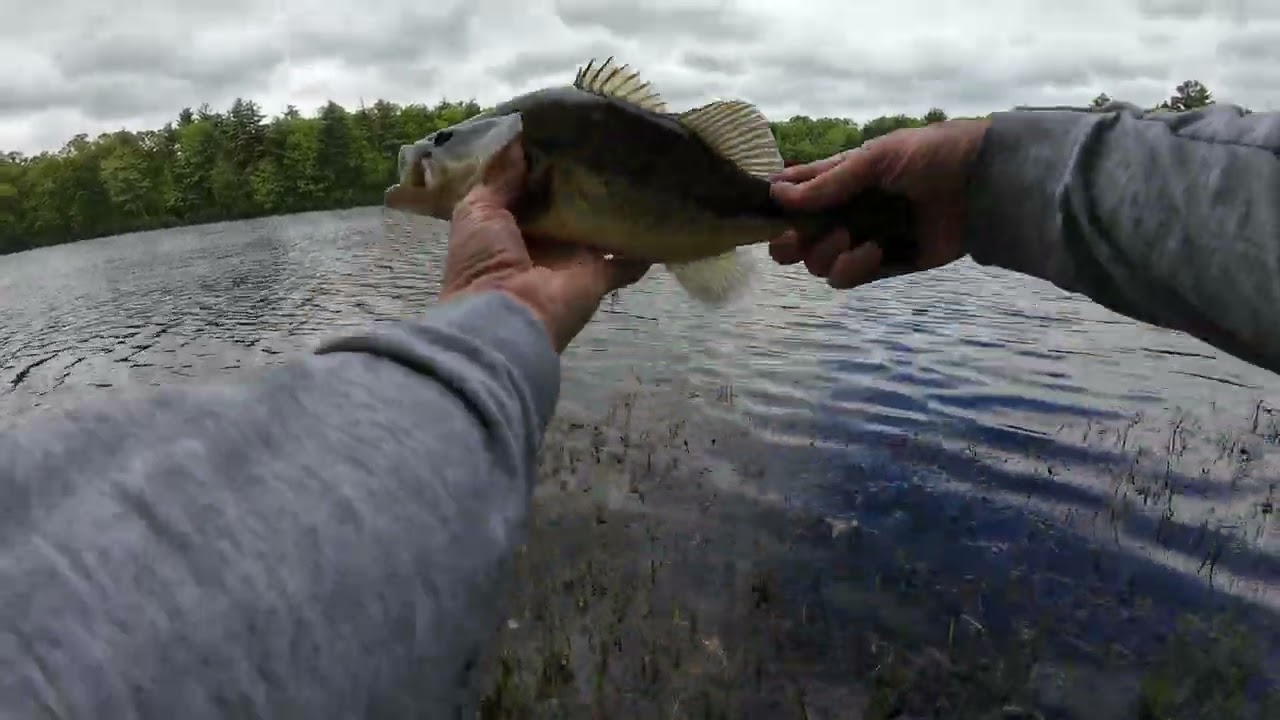bass fishing 5 19 24