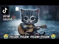 viral TikTok 2024 | miaw miaw miaw miaw song sad 😭