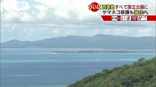 西表島“全体”が国立公園に　ヤマネコ保護も強化へ(16/02/23)