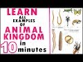 Animal Kingdom Short Tricks - NEET and AIIMS 2020|BiologyBytes Class 11