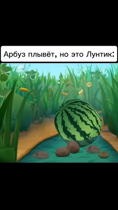 Остальные арбузы уплыли в Афганистан - YouTube