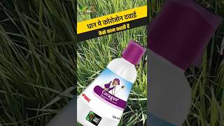 dupont Coregen Coregen Ke Fayde कोराजन के फायदे Coragen Insecticide Solution