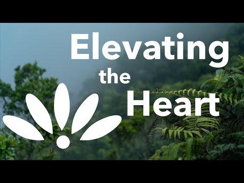 Elevating The Heart