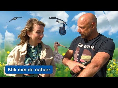 Jabloi vs madiang vs klik comedy 😂