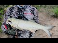 Cá Chét To Cở Này Thì Bao Lâu Chưa Thuốc | Hiepfishingtv #hiepfishingtv