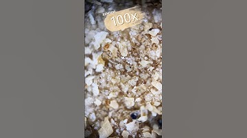 Maximum zoom on the object(bread)#shorts #shortvideo #asmr #macro #amazing