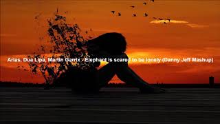 Arias, Dua Lipa, Martin Garrix - Elephant Is Scared To Be Lonely (Danny Jeff Mashup)