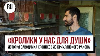 «Кролики у нас для души». История заводчика кроликов из Криулянского района