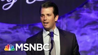 What Everyone Missed In The Donald Trump Jr. Emails | All In | MSNBC