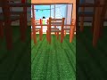 WALK through MM2 with me...😱