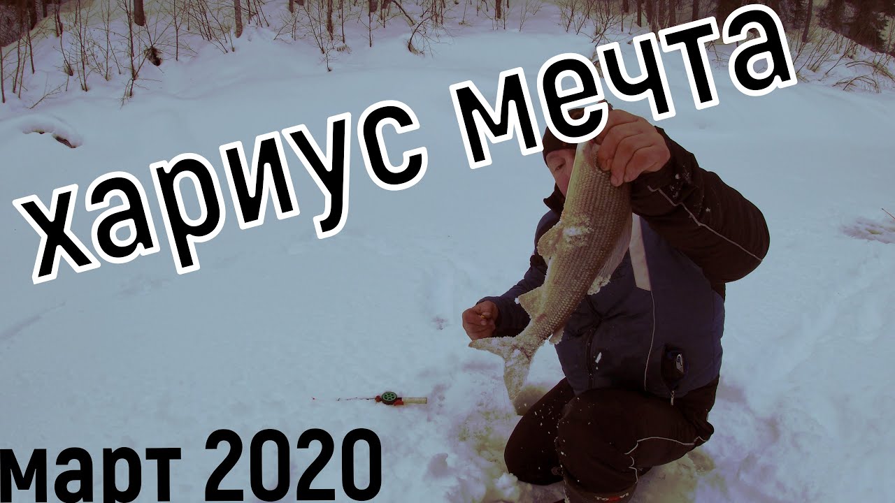 Тойота хариус 2020