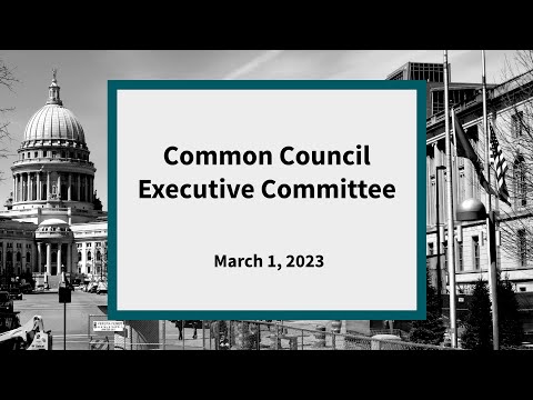 Common Council Executive Committee: Meeting of March 1, 2023