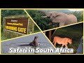 Safari Day Bakubung Gate At Pilanesberg National Park In South Africa It Was INSANE Safari Day Bakubung Gate At Pilanesberg National Park In South Africa It Was INSANE
