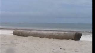 S'Land - Florian Ast