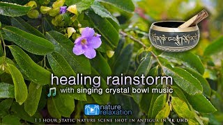 4K Healing Rain & Thunderstorm + Crystal Bowl Music For Deep Relaxation - 1Hr