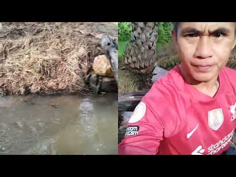 สายธารไหลริน กับผู้ช่วยตัวเก่ง
