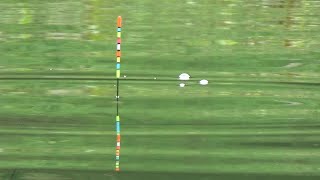 Yang Sering Boncos Cobalah Spot Di Sini Di Jamin Bahagia...