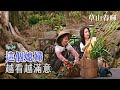 [草山春暉] - 第24集 / Sunshine on Grass Mountain (ENG CC) image