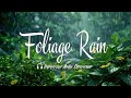FOLIAGE RAIN | 10 Hours Of Immersive Audio • Rain On Foliage