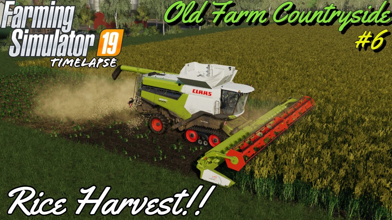 OLD FARM COUNTRYSIDE | HARVESTING RICE & MAKING HAY!! | FS19 Timelapse ...