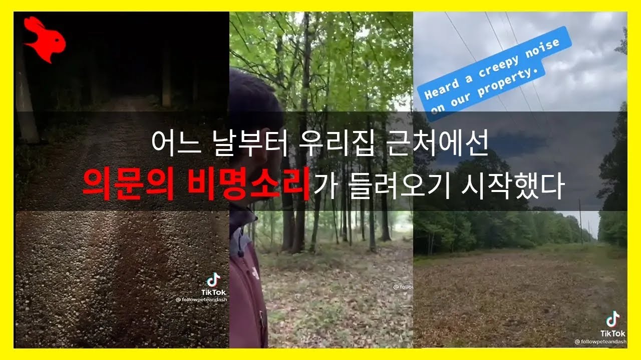 51.【틱톡에 올라온 무서운영상15】 어느 날부터 우리집 근처에선 의문의 비명소리가 들려오기 시작했다   ㅣ해외무서운영상