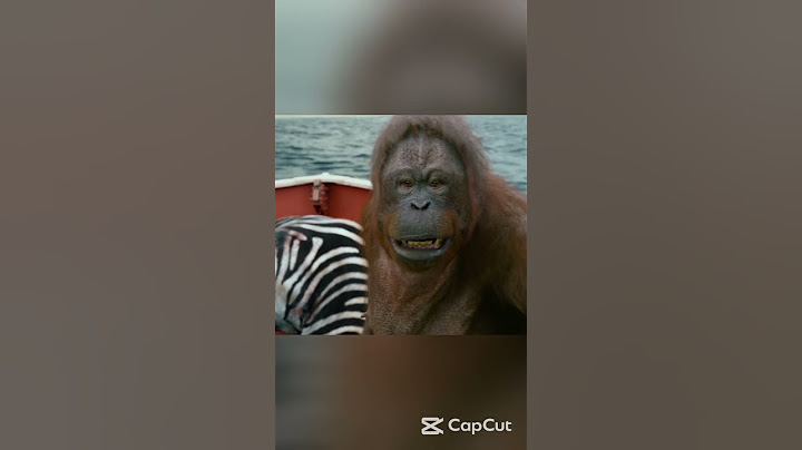 Un garçon et un tigre sont piégés dans un bateau au milieu de l'océan.