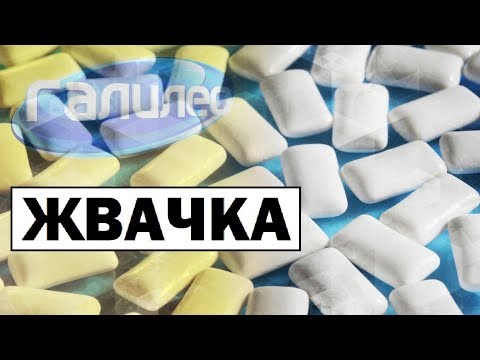 Галилео | Жвачка 👄 [Chewing gum]