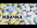 Галилео | Жвачка 👄 [Chewing gum]