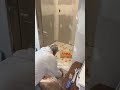 Installing Bathroom Tile #builder