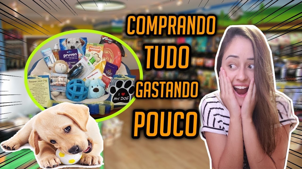 Enxoval para cachorro filhote Clearance