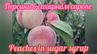 Персики в сахарном сиропе # Peaches in sugar syrup