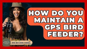 How Do You Maintain A GPS Bird Feeder? - Bird Watching Diaries