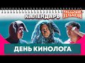 День кинолога — Уральские Пельмени | Календарь