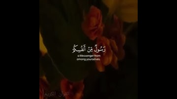 تلاوة خاشعه"بصوت القارئ شريف مصطفى "حالات واتس اب دينيه قرآن كريم