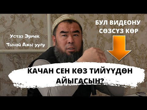 Video: Артка көз салуу эмне үчүн маанилүү?